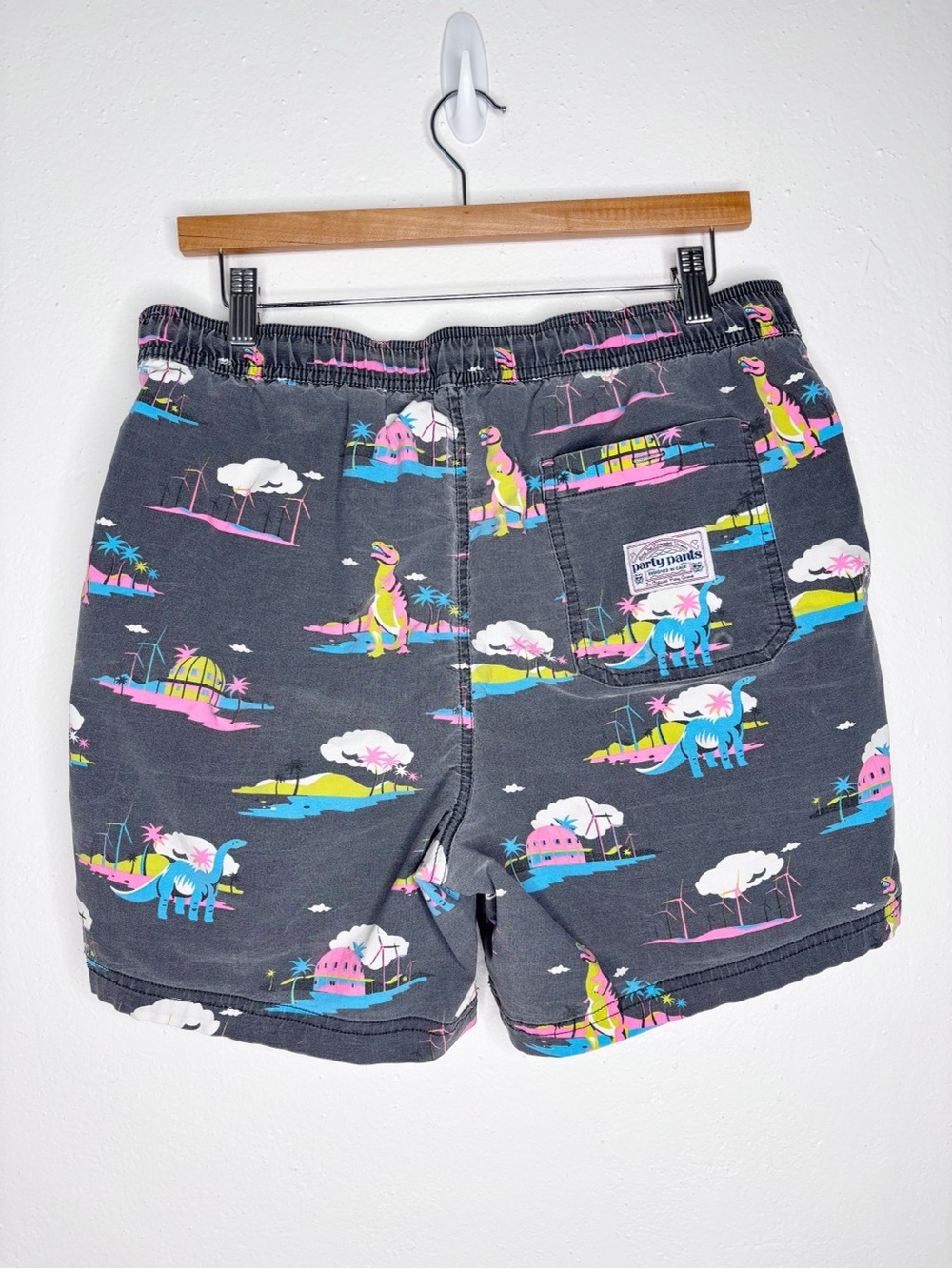 Party Pants Printed Swim Trunks Dinosaur Palm Springs Gray Vintage Wash Size L - Picture 2 of 7